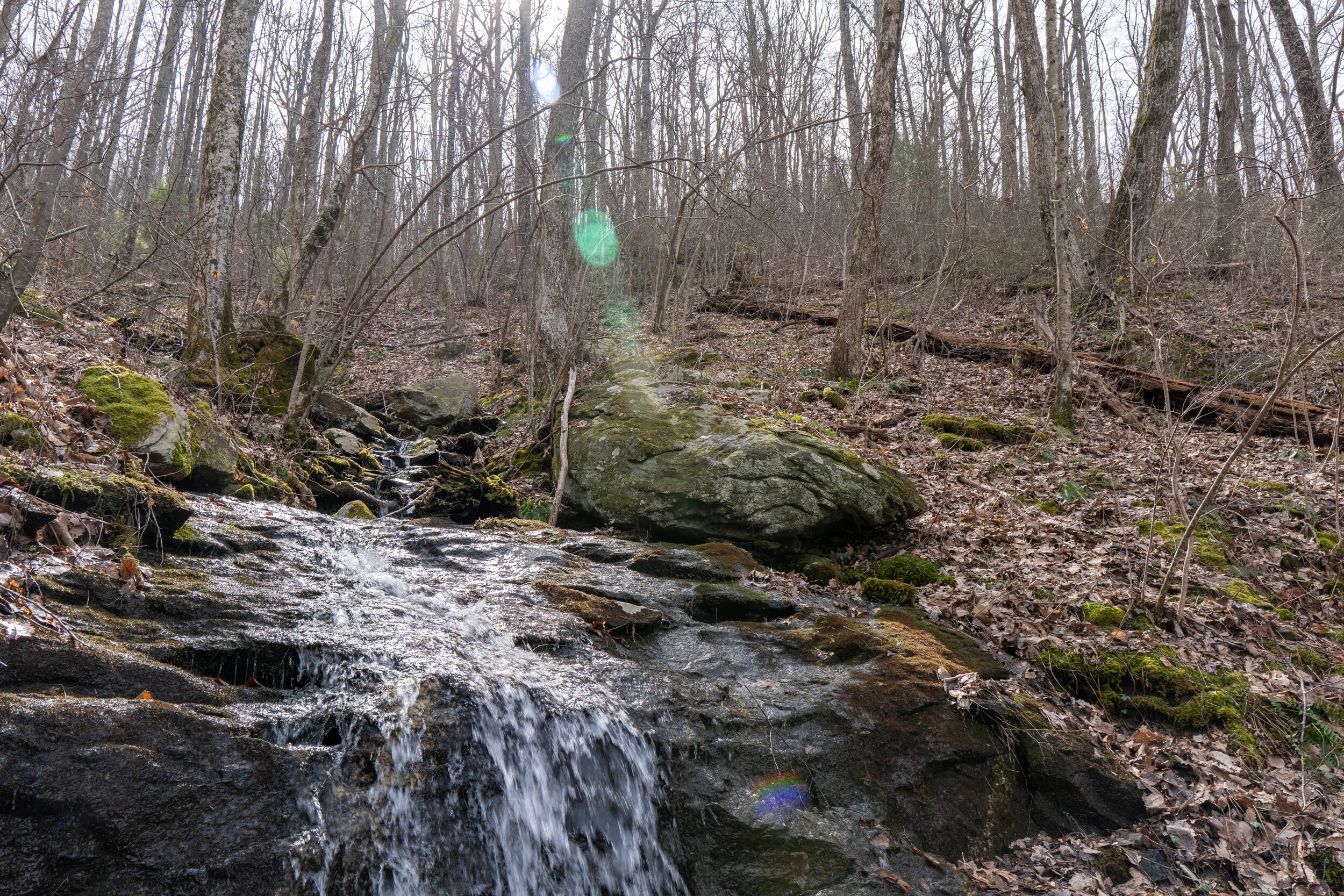 Coosa backcountry trail best sale